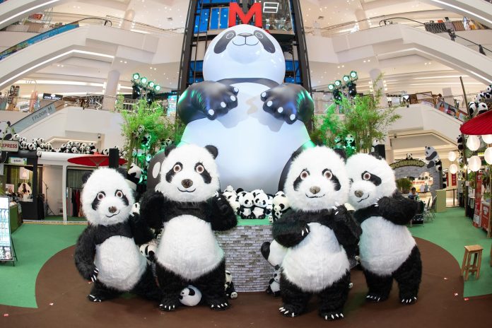 Cha Cha Cha Panda Town-7