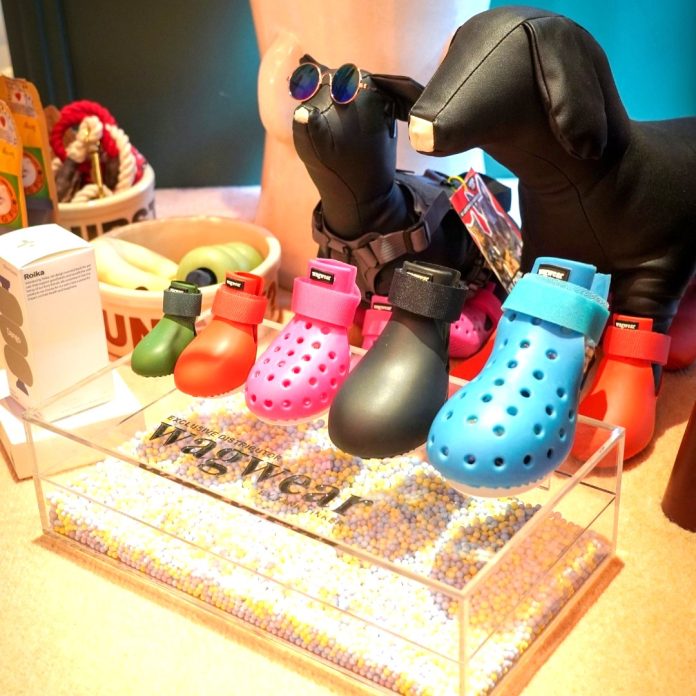 รูป_TANK TINKER แนะนำ รองเท้าสำหรับสุนัขแบรนด์ Wagwear