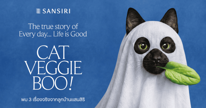 1. Sansiri cat veggie boo