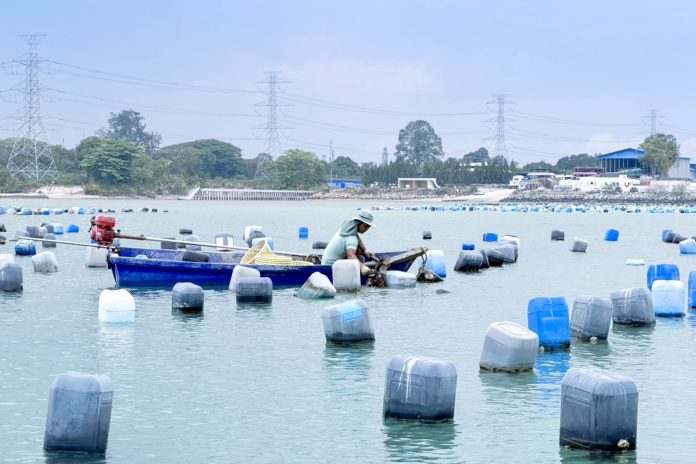 02-Photo BLCP-CSR เลี้ยงหอยแมลงภู่