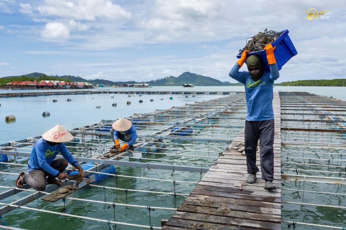Amorn Phuket Pearl Farm